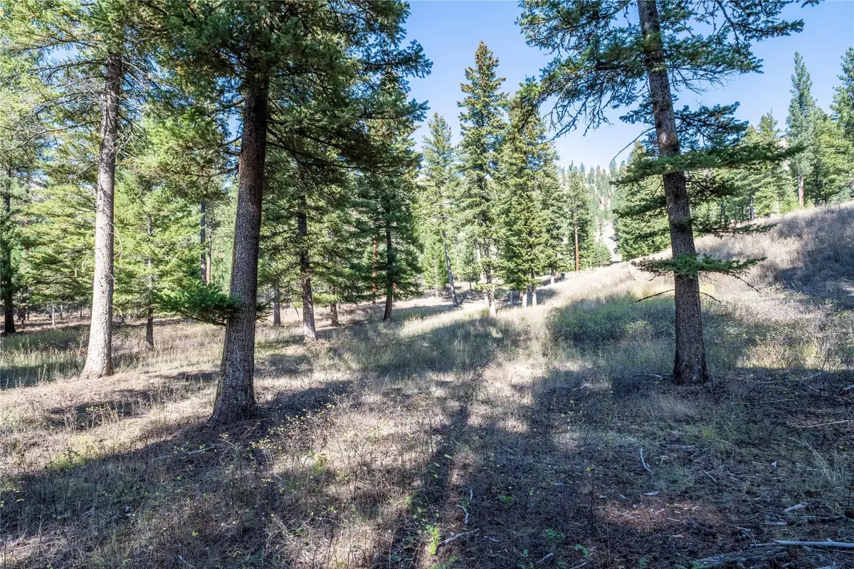 Lot 17 Caddisfly Court, Clinton, MT 59825 - Image #1