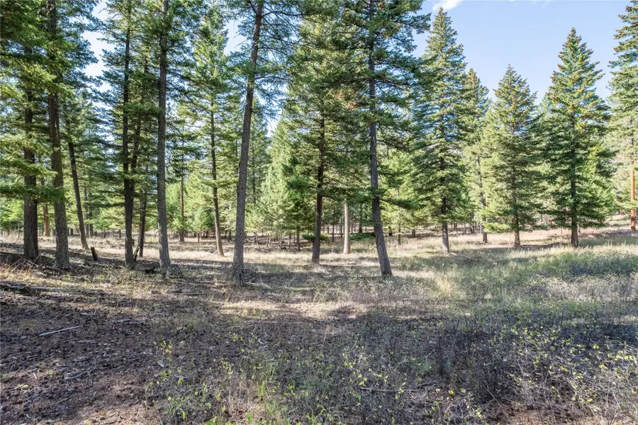 Lot 17 Caddisfly Court, Clinton, MT 59825 - Image #2