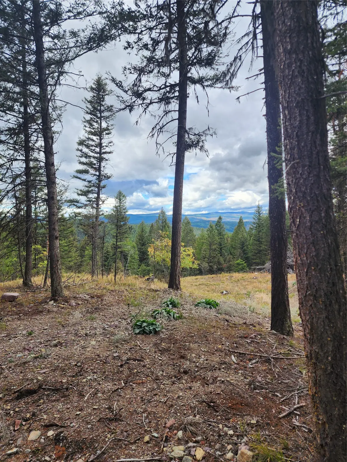 408 Montana View Drive, Seeley Lake, MT 59868 - Image #1