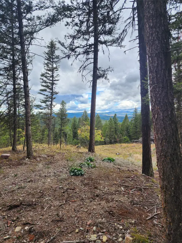 408 Montana View Drive, Seeley Lake, MT 59868