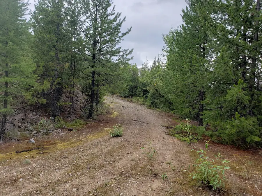 lot 22 Nine Mile Road, Huson, MT 59846 - Image #3