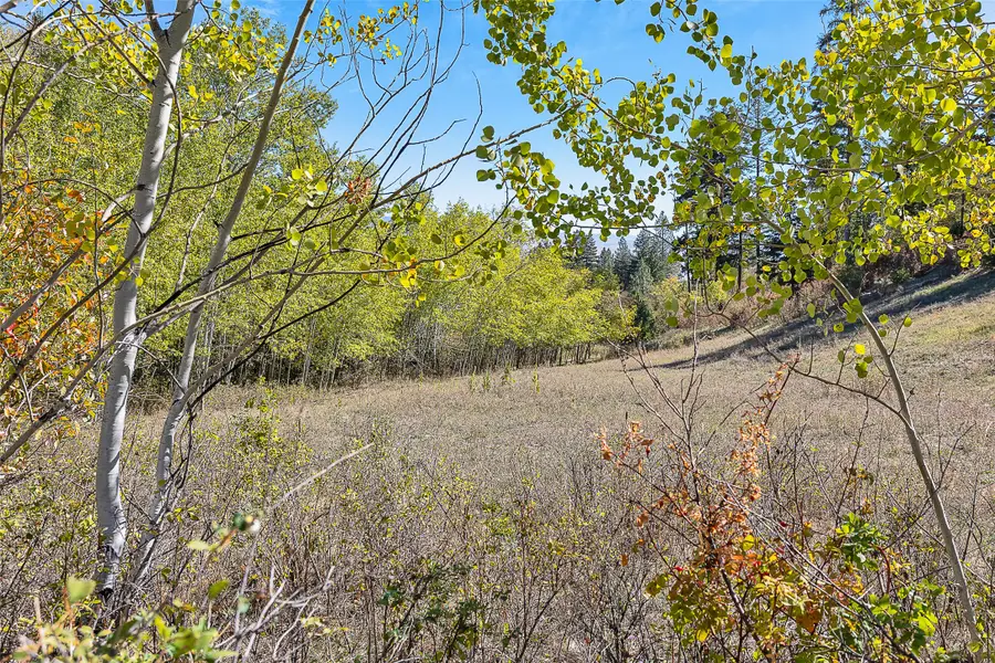 000 Mcclain Creek Meadows, Florence, MT 59833 - Image #2