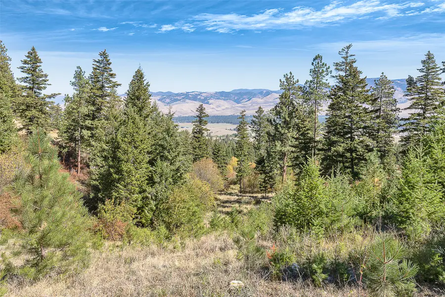000 Ponderosa Ridge, Florence, MT 59833 - Image #2