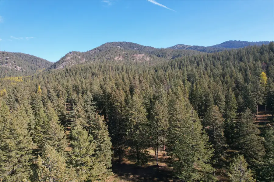 000 Buckskin Lane, Frenchtown, MT 59834 - Image #3