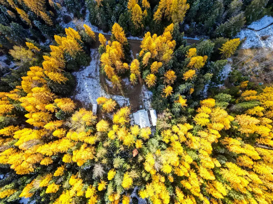 238 Cedar Hills Lane, Trego, MT 59917 - Image #3