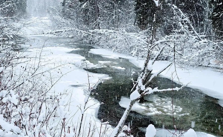 355 Upper Ford Cut Off Road, Yaak, MT 59935 - Image #2