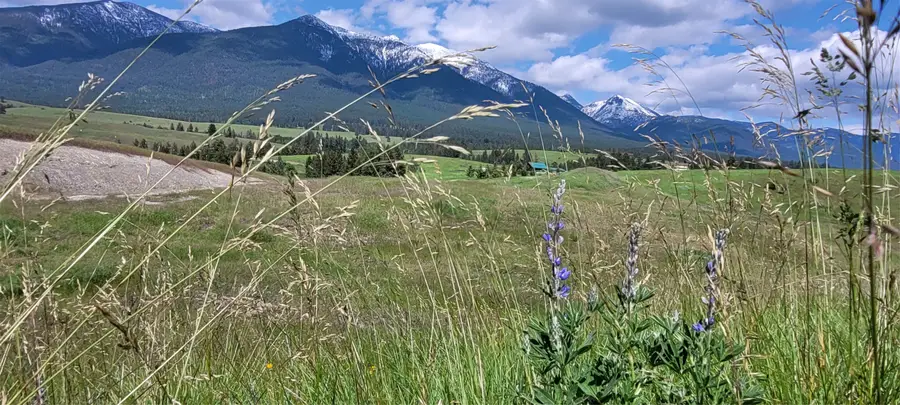 417 Little Creek Road, Eureka, MT 59917 - Image #2