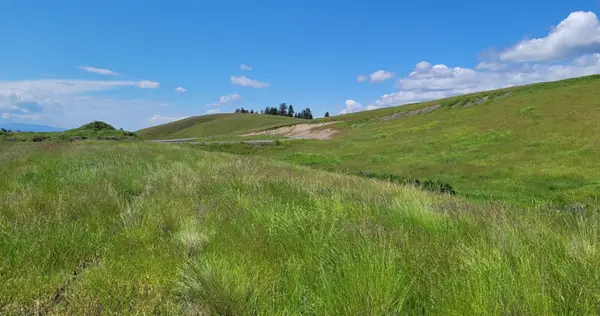 164 Grassy Loop, Eureka, MT 59917