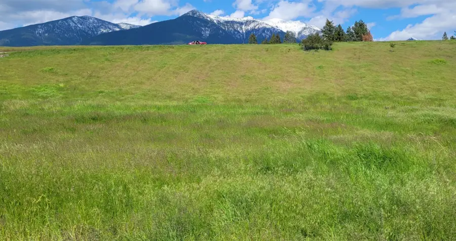 164 Grassy Loop, Eureka, MT 59917 - Image #2