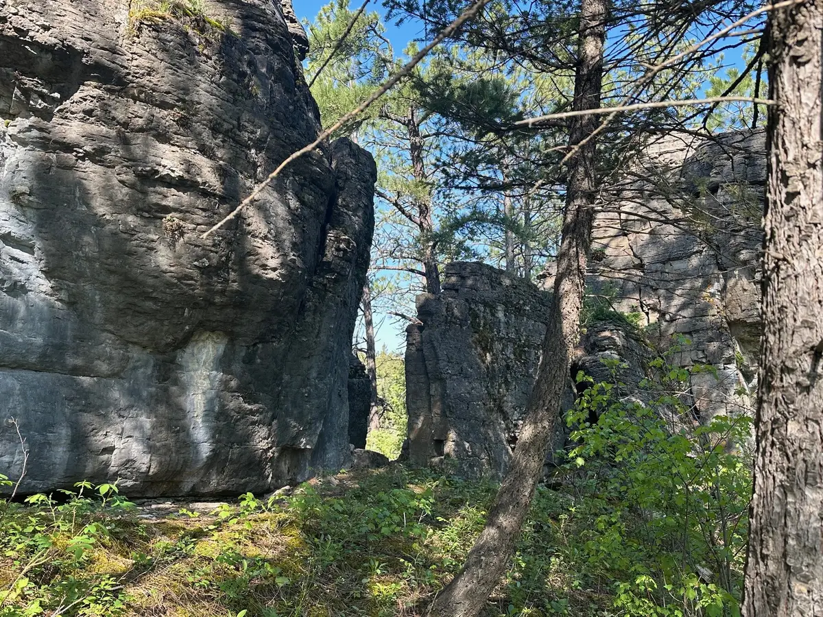 NHN Lot 1 Highway 89 N, Monarch, MT 59463 - Image #1