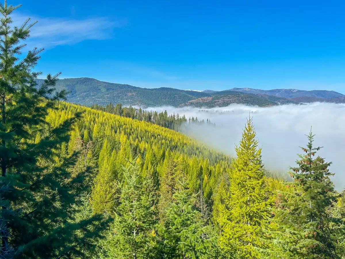 Nhn Pats Knob Road, Plains, MT 59859 - Image #1