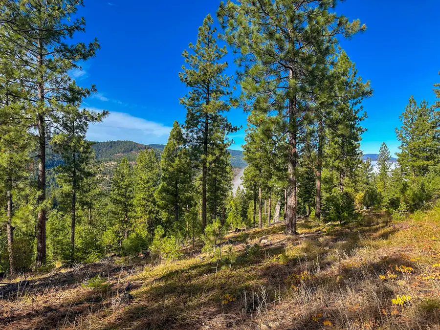 Nhn Pats Knob Road, Plains, MT 59859 - Image #2