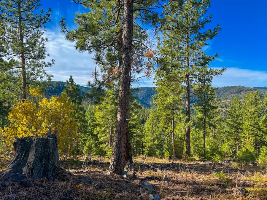 Nhn Pats Knob Road, Plains, MT 59859 - Image #3