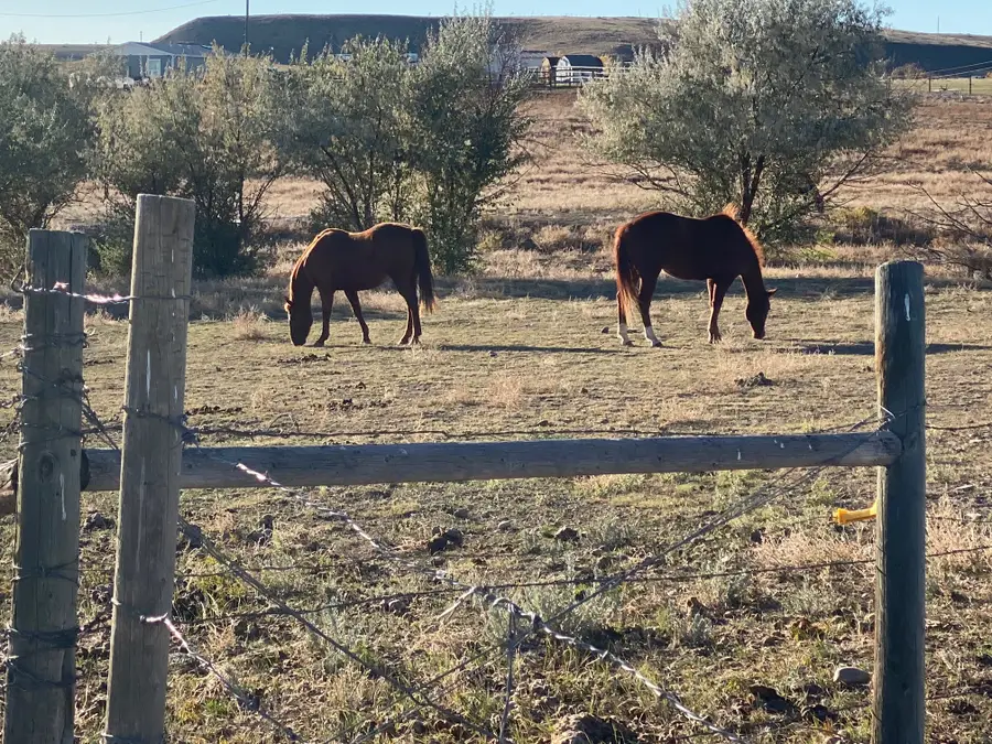 TBD Appaloosa Lane, Vaughn, MT 59487 - Image #2