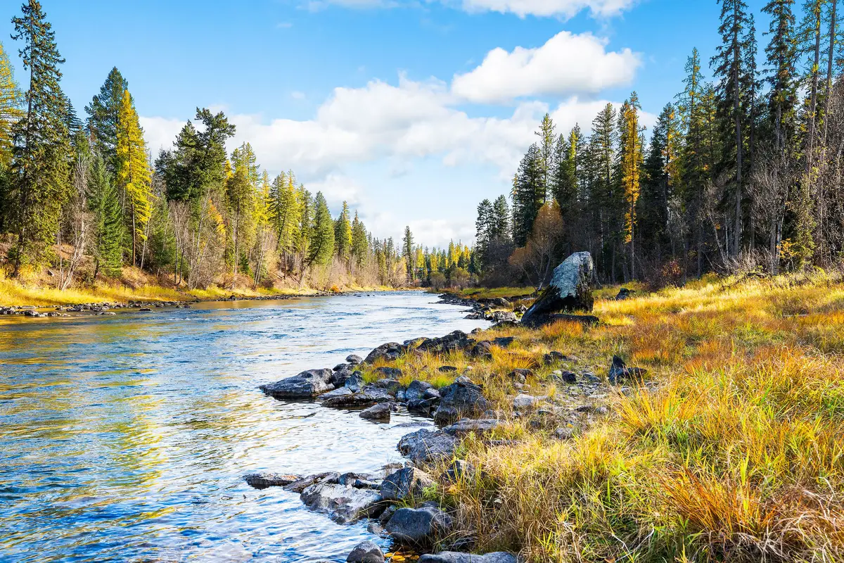 NHN Watchman Way, Bigfork, MT 59911 - #1