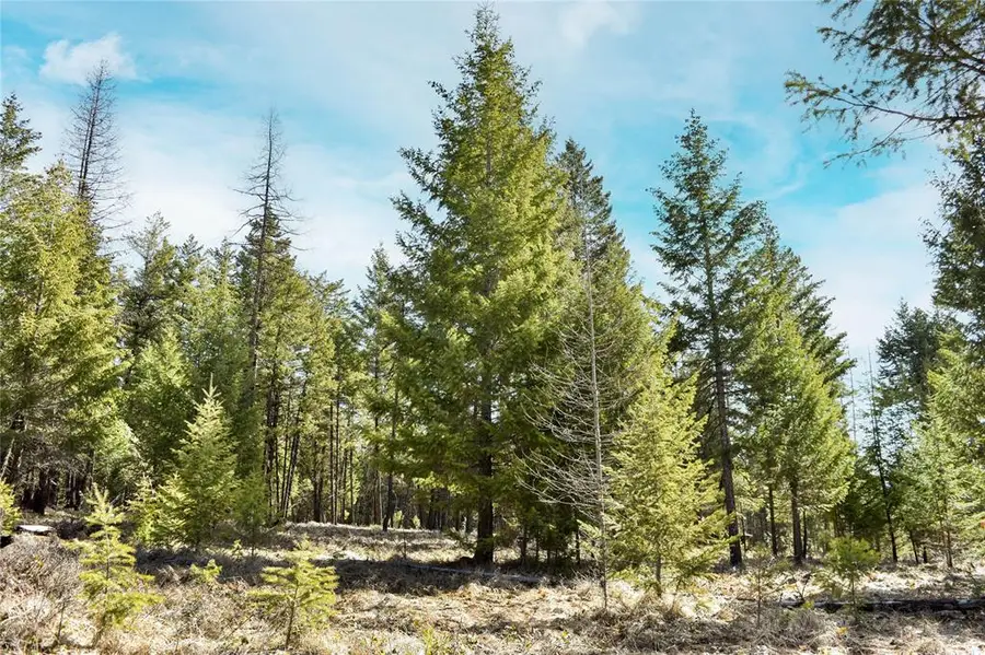 Lot 1 B Meadow Springs Road, Fortine, MT 59918 - Image #2