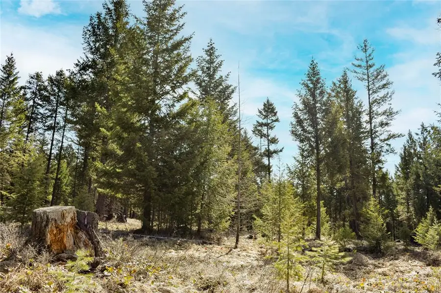 Lot 1 B Meadow Springs Road, Fortine, MT 59918 - Image #3