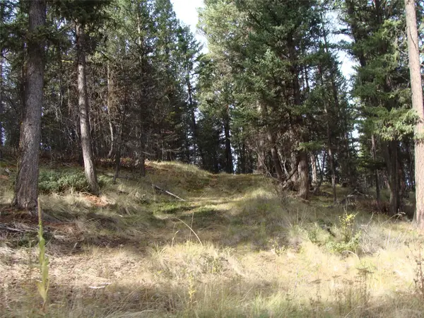 Lot 8 Coyote Ridge Pass Road, Fortine, MT 59918