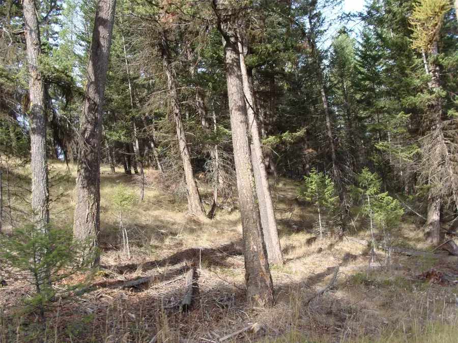 Lot 8 Coyote Ridge Pass Road, Fortine, MT 59918 - Image #2