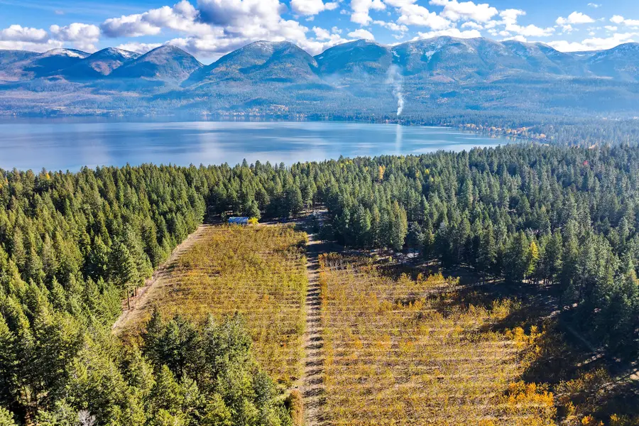 34310 Sweet Cherry Lane, Polson, MT 59860 - Image #2