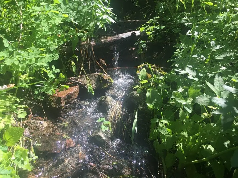 TBD Bear Track Road, Wolf Creek, MT 59648 - Image #2