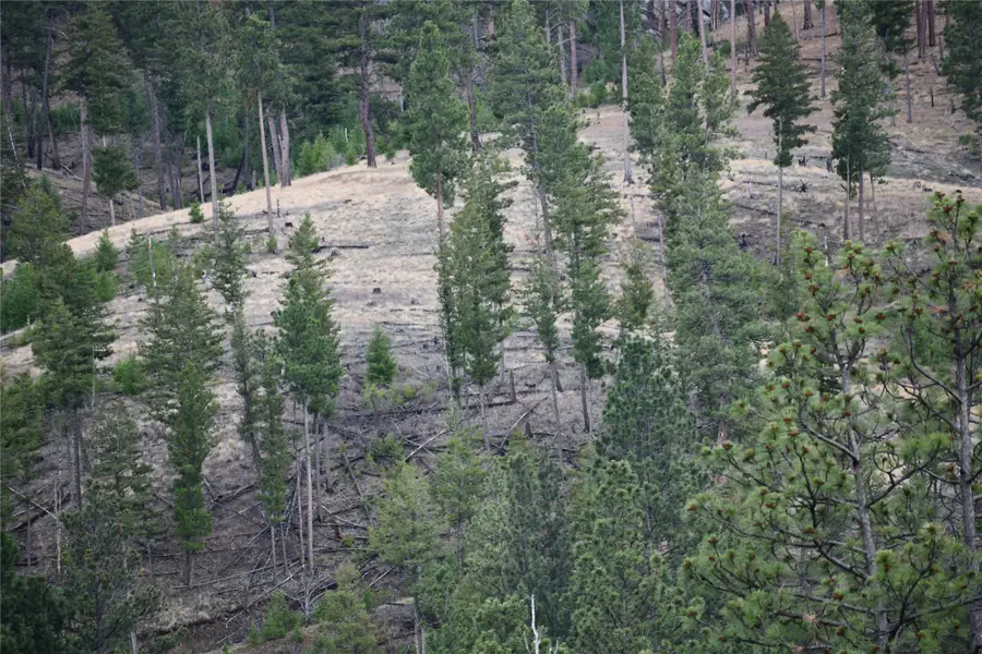 Nhn Medicine Springs Road, Conner, MT 59827 - Image #3