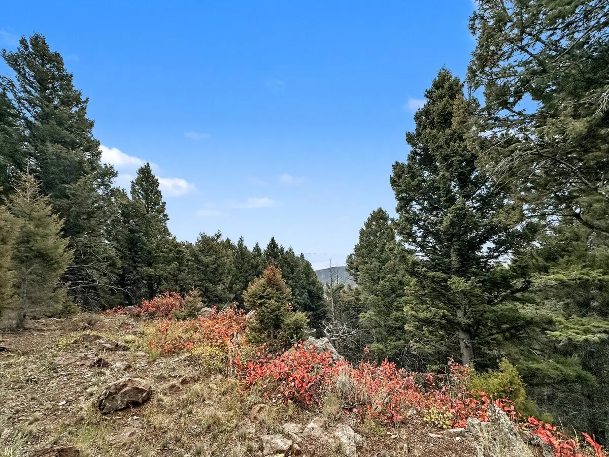 TBD Bunks Trail, Ennis, MT 59729 - Image #1