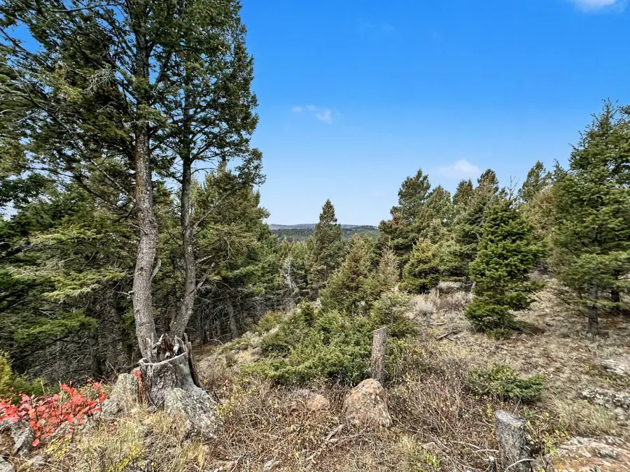 TBD Bunks Trail, Ennis, MT 59729 - Image #2