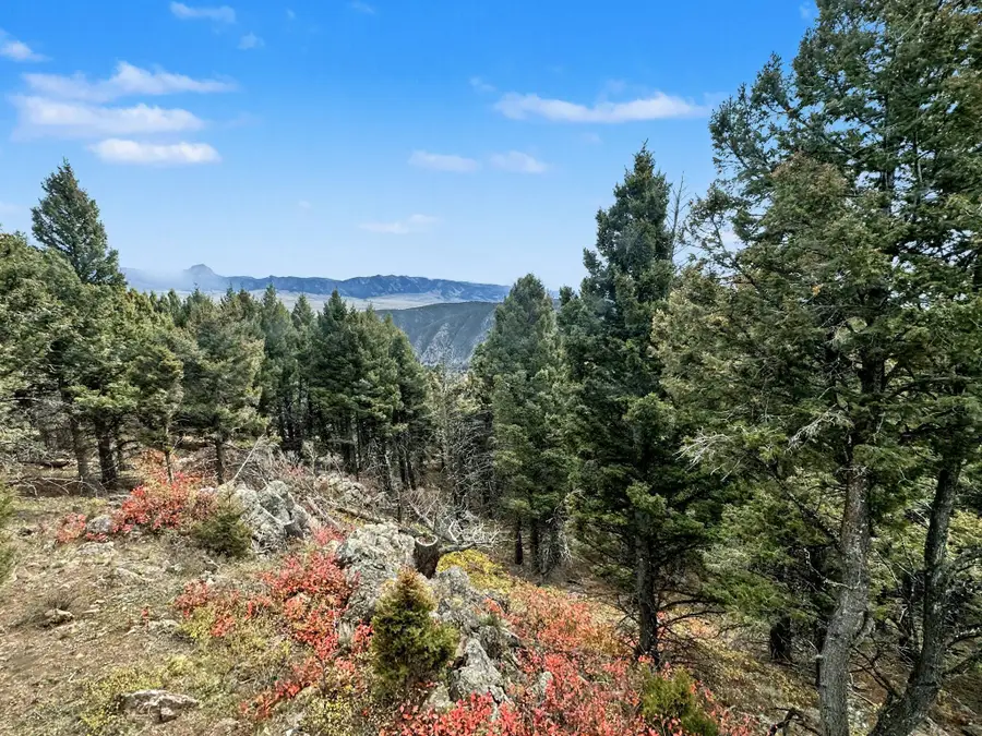 TBD Bunks Trail, Ennis, MT 59729 - Image #3