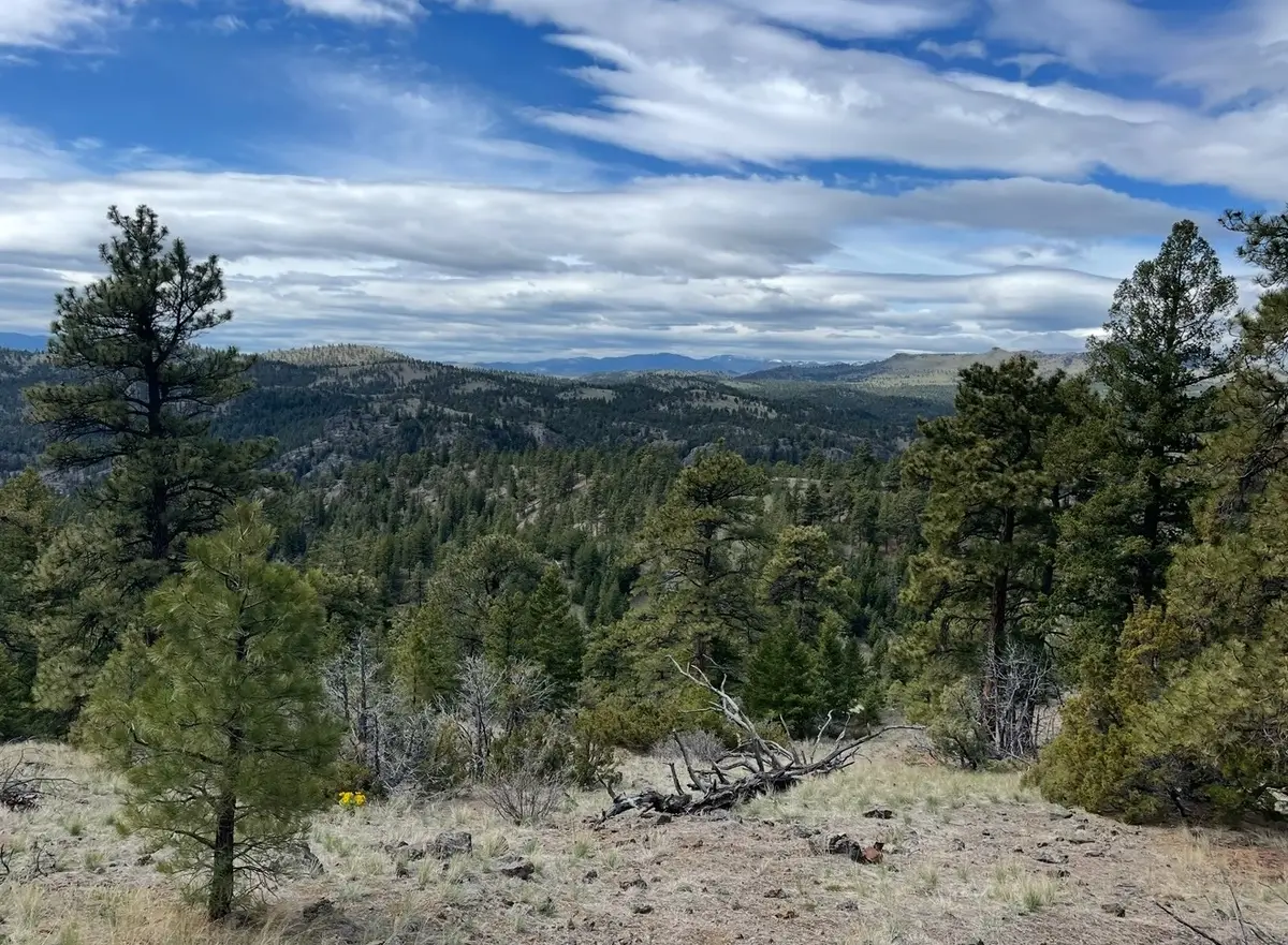 100 Dryfork Lane, Cascade, MT 59421 - Image #1