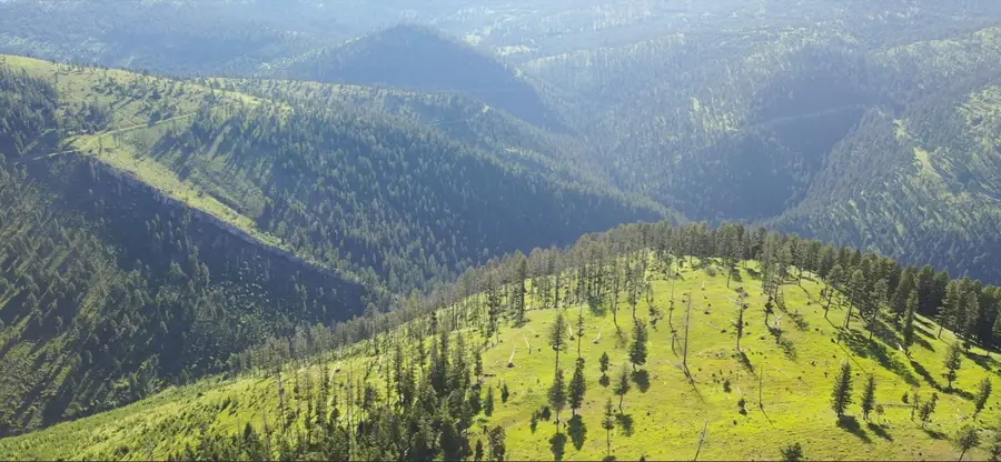 5 Tract, Garnet Range, Drummond, MT 59825 - Image #3