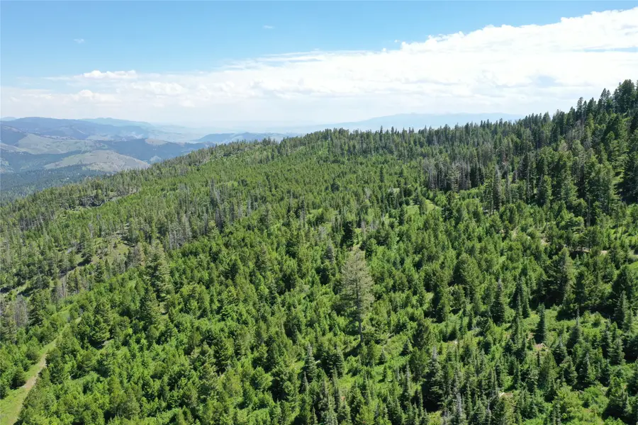 15 Tract, Garnet Range, Drummond, MT 59832 - #3