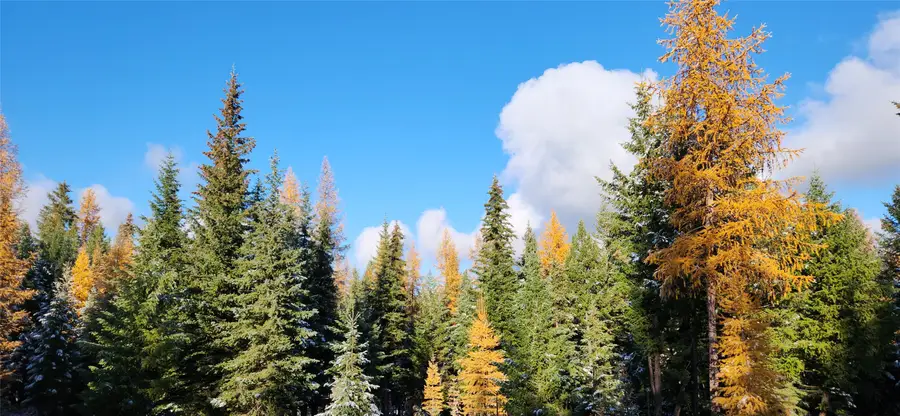 Lot 8 Tamarack Lane, Rexford, MT 59930 - Image #2