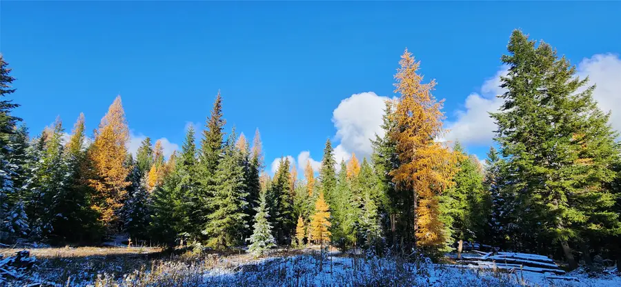 Lot 8 Tamarack Lane, Rexford, MT 59930 - Image #3