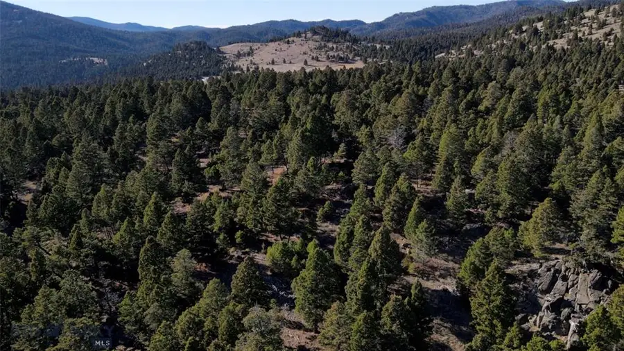 91 Upper Rader Creek Road, Whitehall, MT 59759 - #3