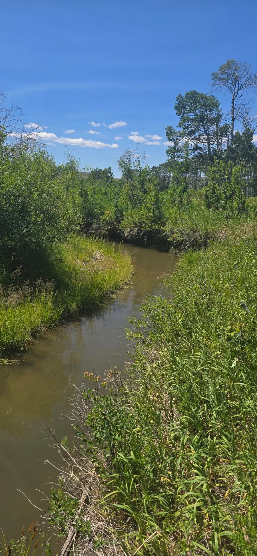 2A School House Meadows, Helmville, MT 59843 - Image #3