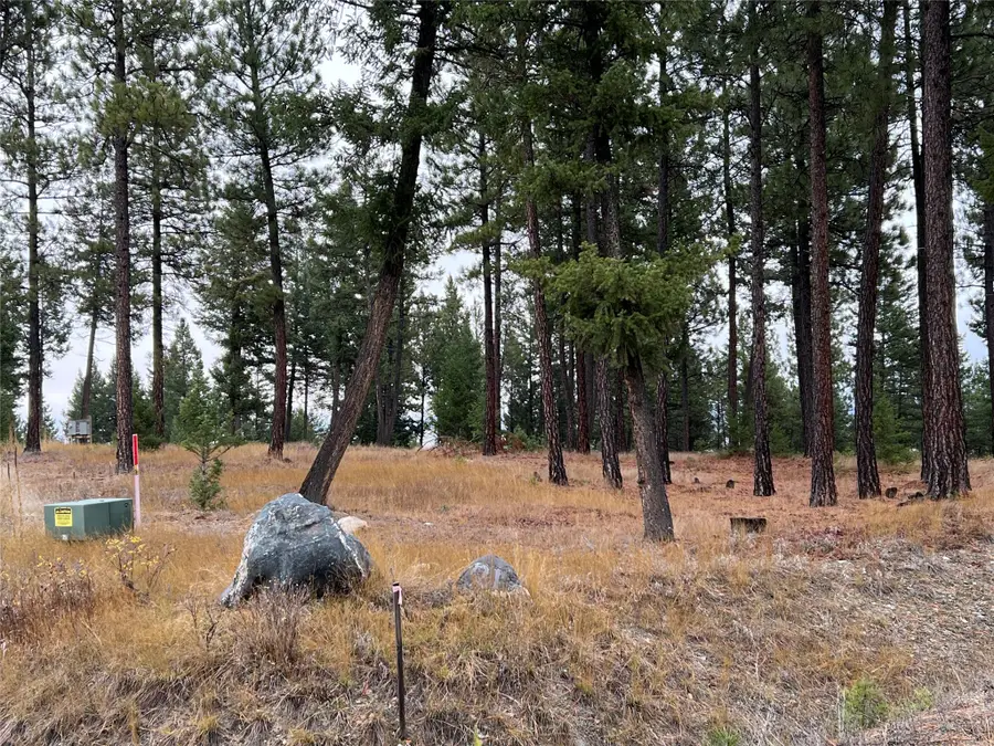 NHN Hillandale Trail, Eureka, MT 59917 - Image #2