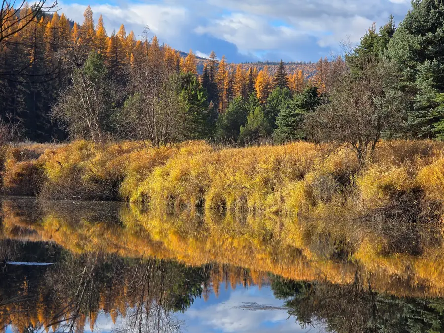 1310 Tamarack Lane, Yaak, MT 59935 - Image #2