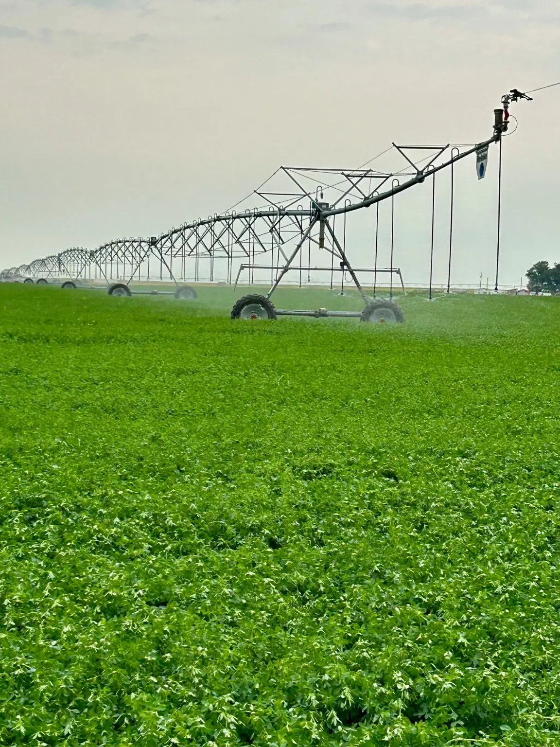 1176 County Line Road, Fort Shaw, MT 59443 - Image #1