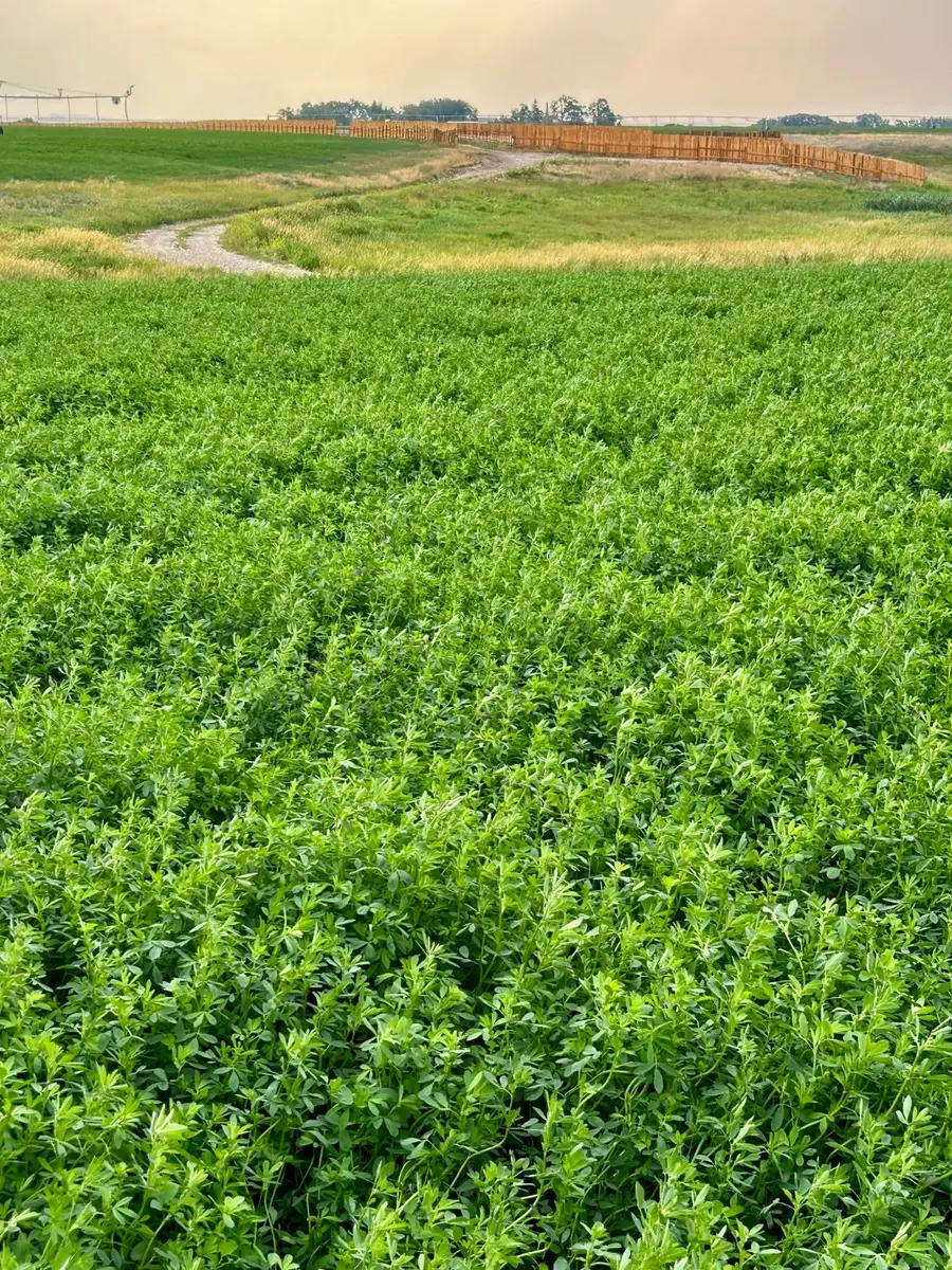 NHN 12th Lane, Fort Shaw, MT 59443 - Image #3