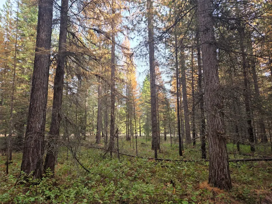 NHN Mt Hwy 200, Trout Creek, MT 59874 - Image #2