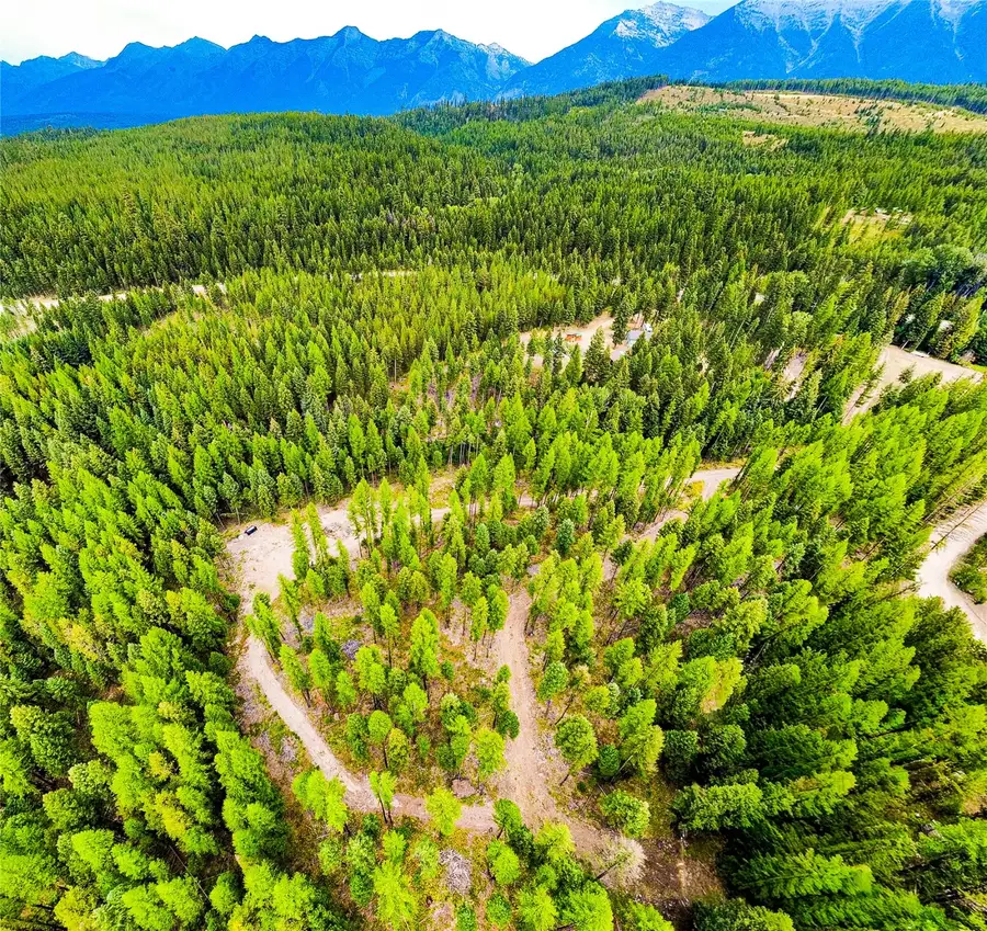 336 Old Barn Road, Seeley Lake, MT 59868 - Image #2