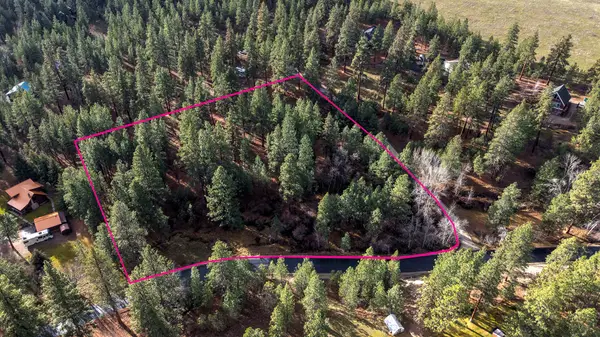 000 Lot 7 Cone Drive, Hamilton, MT 59840