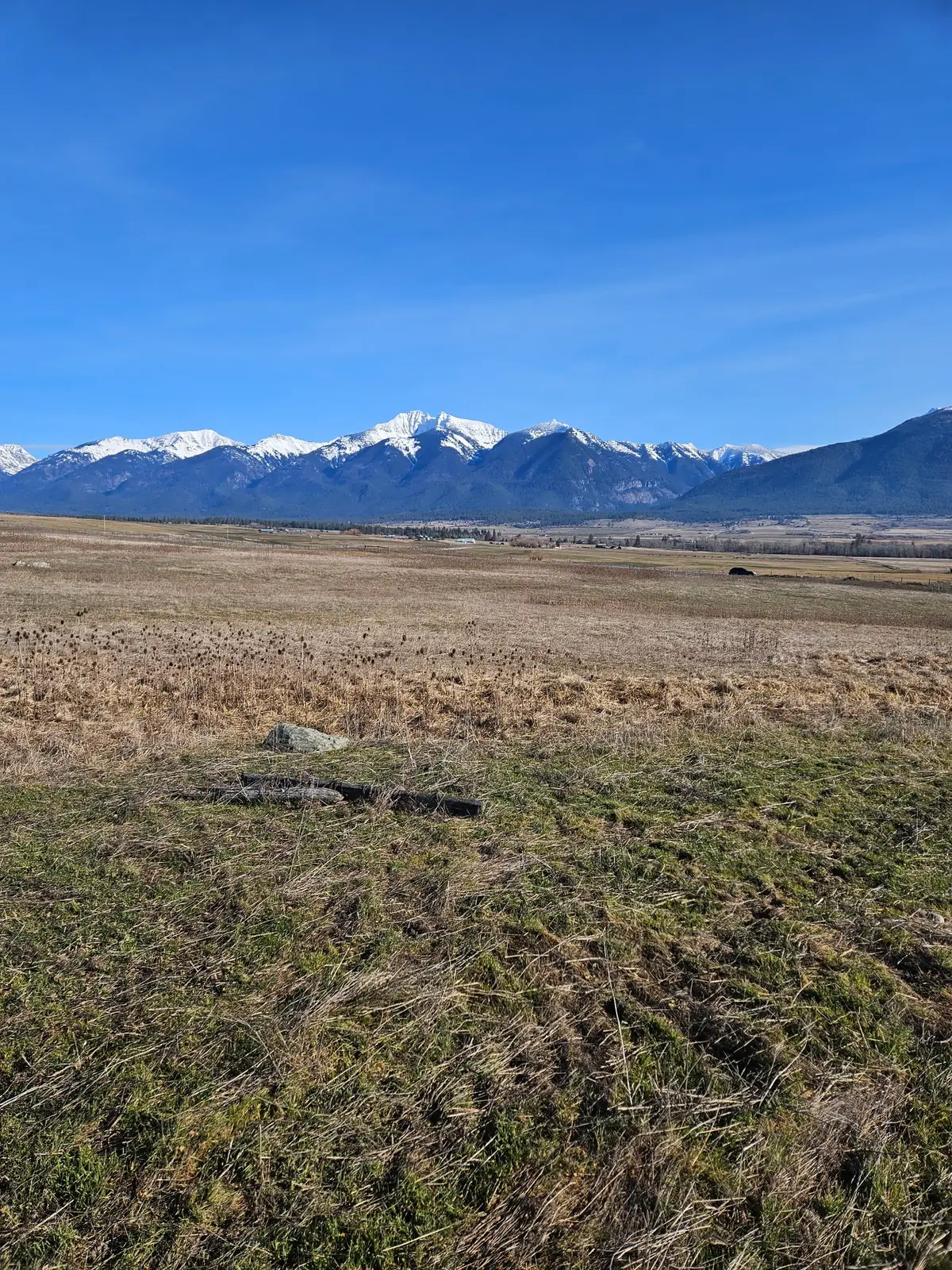 NHN Bigfoot Trail, Saint Ignatius, MT 59865 - #1