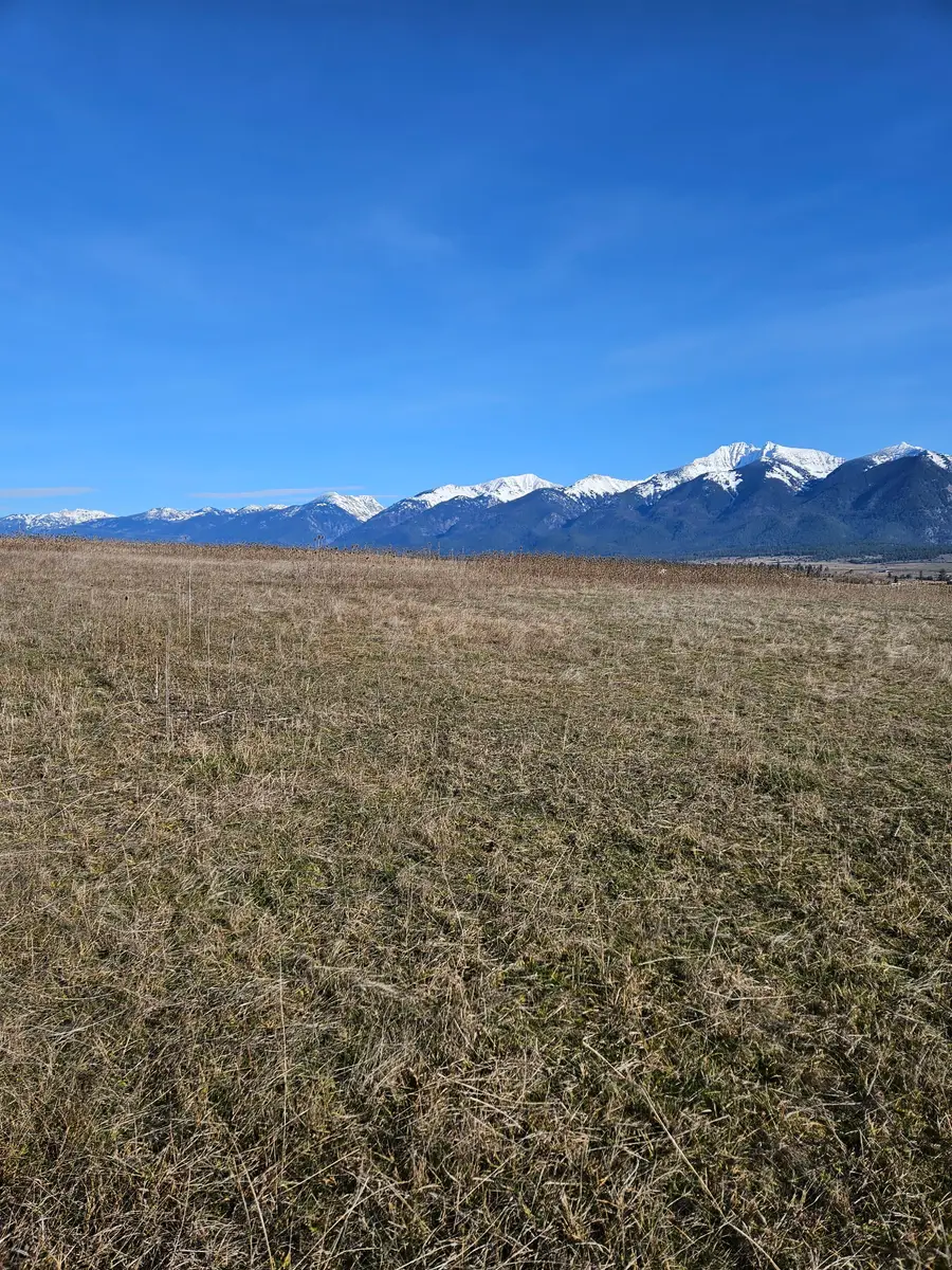 NHN Bigfoot Trail, Saint Ignatius, MT 59865 - #3