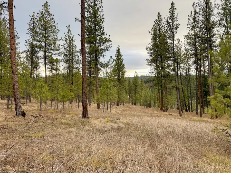 33658 Raghorn Road, Potomac, MT 59823 - Image #3