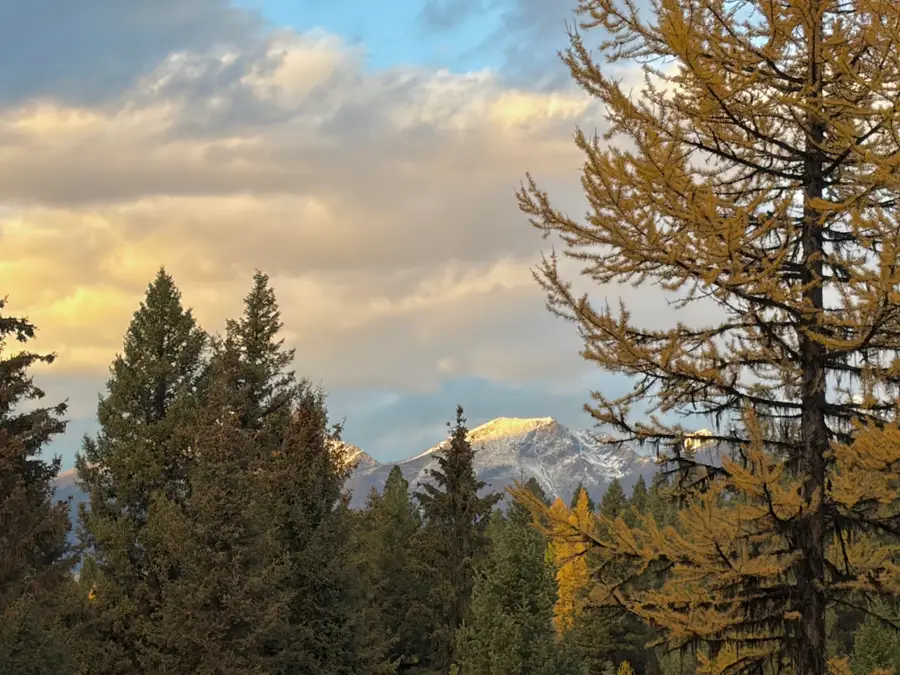 149 Montana Drive, Seeley Lake, MT 59868 - Image #2