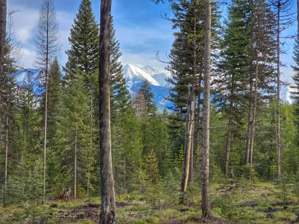 TBD Providence Lane, Condon, MT 59826