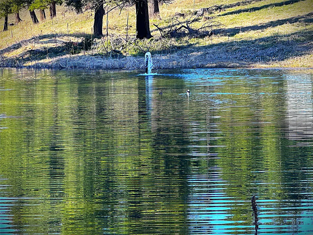 397 Malama Aina Road, Eureka, MT 59917 - #1