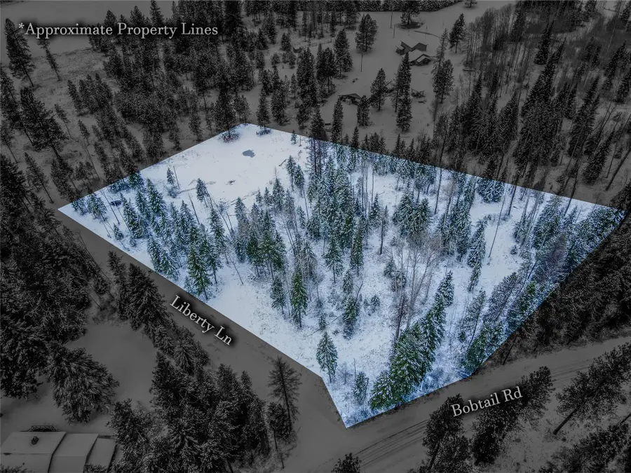 Lot 2C Liberty Lane, Libby, MT 59923 - Image #3
